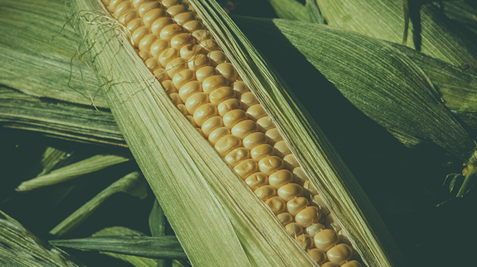 至尊国际 – 至尊服务,至尊享受