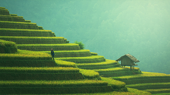 至尊国际 – 至尊服务,至尊享受