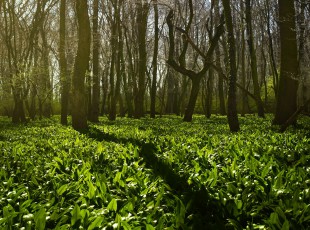 访农户，，，送手艺！ “中国农资”现代农业服务团队助力秋粮生产